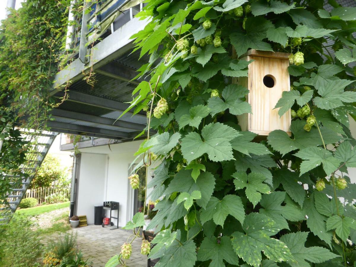 Apartment Nest