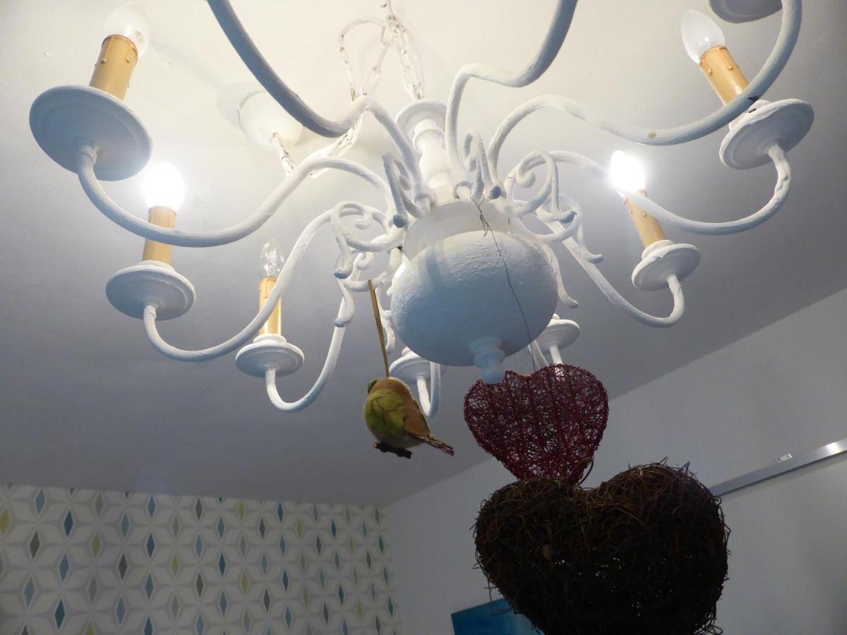 Nest *